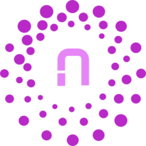 Nigma solutions Logo