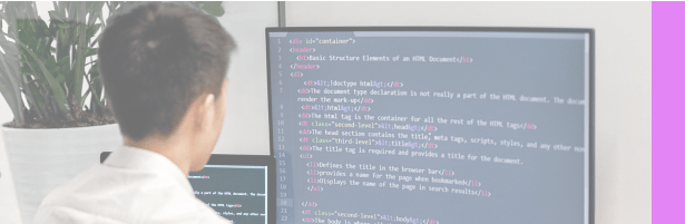 developer